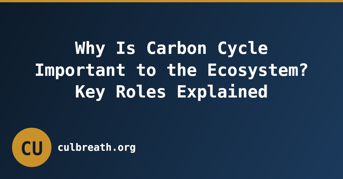 Why Is Carbon Cycle Important to the Ecosystem? Key Roles Explained