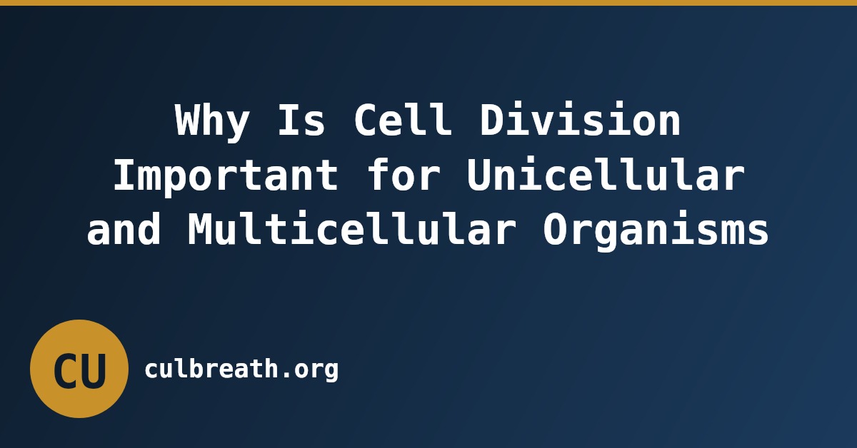 Why Is Cell Division Important for Unicellular and Multicellular Organisms