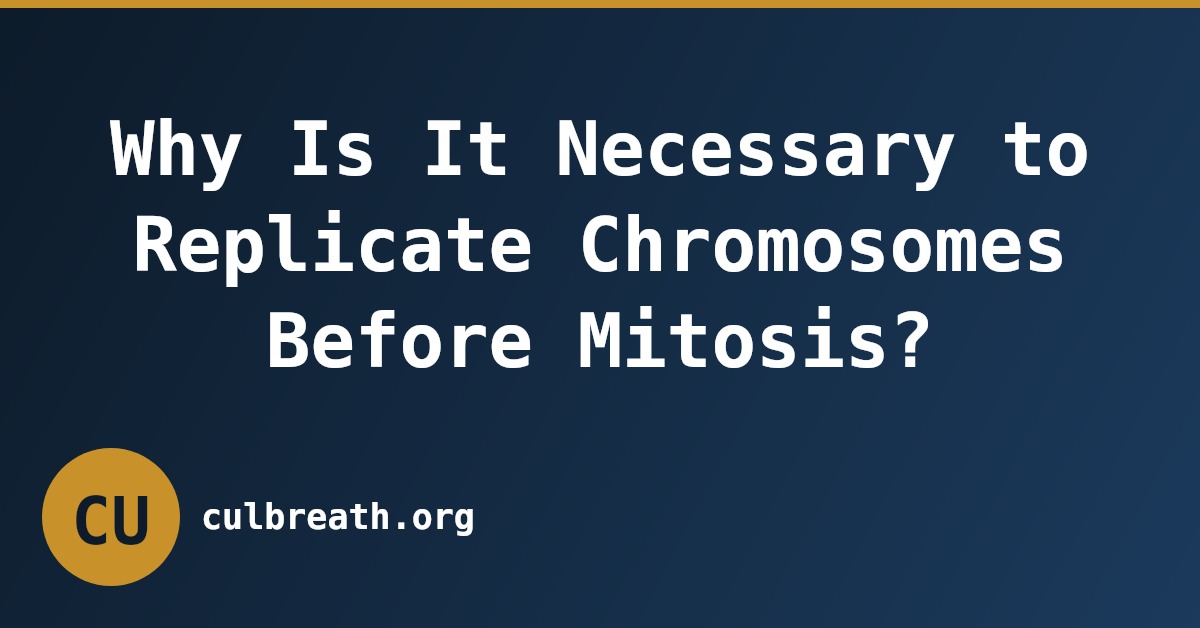 Why Is It Necessary to Replicate Chromosomes Before Mitosis?