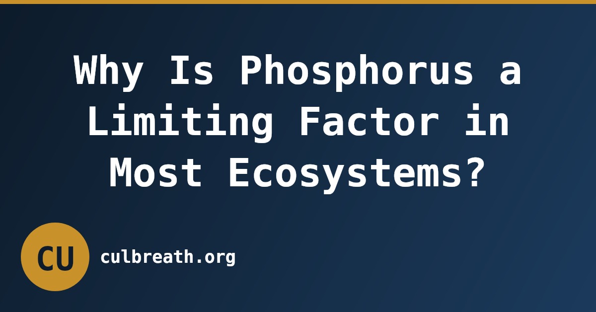 Why Is Phosphorus a Limiting Factor in Most Ecosystems?