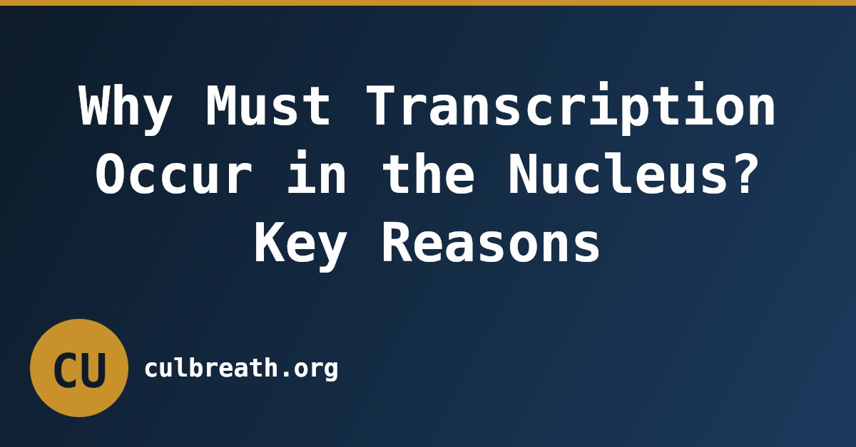 Why Must Transcription Occur in the Nucleus? Key Reasons